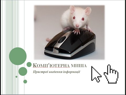 Видео: Урок 10. Інформатика. "Комп'ютерна миша"