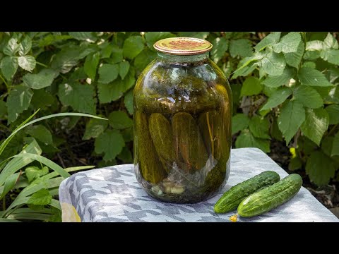 Видео: Невероятный секрет Хрустящих Маринованных Огурцов