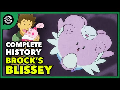 Видео: История Brock's Blissey: от папиной дочки до мощной компании