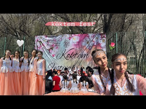Видео: VLOG: koktem fest | вайб весны 