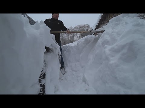 Видео: ПОВЕЗЛИ ЗАПЧАСТИ И ПОПАЛИ В ЛОВУШКУ