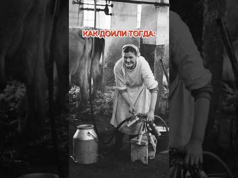 Видео: #корова #доение #животноводство #ферма