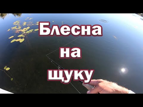 Видео: Колебалка на щуку.  Ловля щуки на блесну ! Рыбалка на спиннинг.