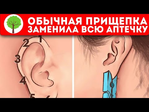 Видео: Ношу всегда с собой! 5 секунд — и суставы, кишечник, мозг …