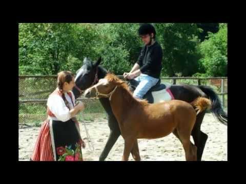 Видео: Сливенска ръченица-Динко Фърчанов,кавал