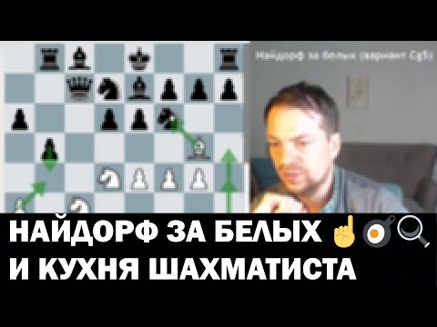Видео: Как работать над дебютом на примере варианта Найдорфа | Для 3-2 разряда