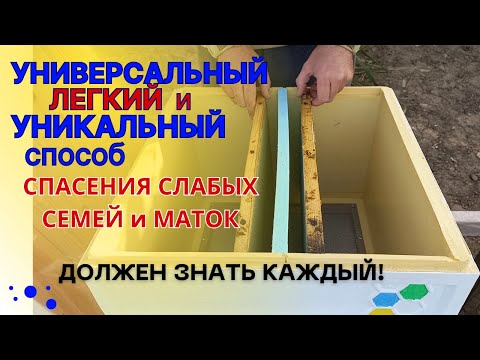 Видео: УНИВЕРСАЛЬНЫЙ и УНИКАЛЬНЫЙ способ.  Должен знать каждый пчеловод!