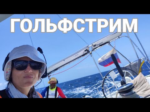 Видео: КАРИБСКИЕ БУДНИ #14: СОПРОТИВЛЯЯСЬ ТЕЧЕНИЮ ГОЛЬФСТРИМ, бежим по волнам