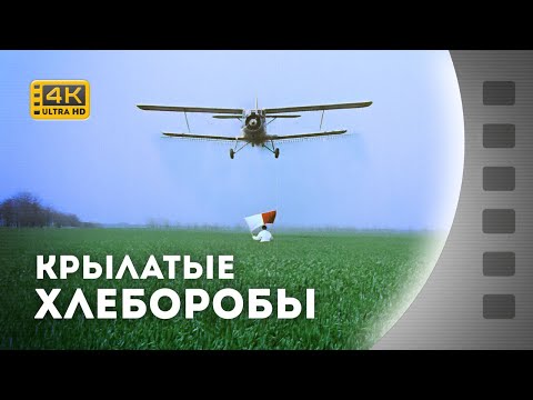 Видео: КРИЛАТІ ХЛІБОРОБИ / КРЫЛАТЫЕ ХЛЕБОРОБЫ / 1965 / 4К