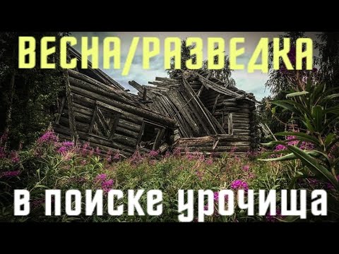 Видео: КОП ЦАРСКИХ МОНЕТ/ПОИСК КЛАДА И СТАРИНЫ/СТАРАЯ МЕЛЬНИЦА/ВЕСЕННЯЯ РАЗВЕДКА/ПЕРМСКИЙ КРАЙ