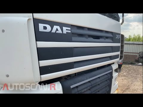 Видео: IDUTEX TS810Pro: Диагностика DAF XF105 2013