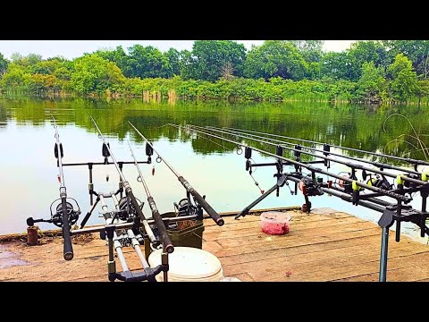 Видео: Дикі САЗАНИ в ЗАТИШНОМУ МІСЦІ, Рибалка насолода, Ловля сазана як в казці