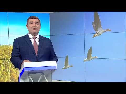 Видео: Туган җир 25/10/24