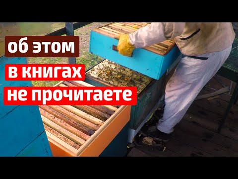 Видео: Когда, как и зачем ставить магазины на главном взятке