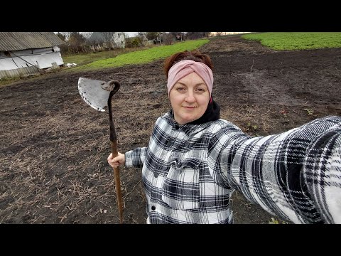 Видео: Готую обід/Мало 🤣 то знову саджаю часник/Викопала жоржини