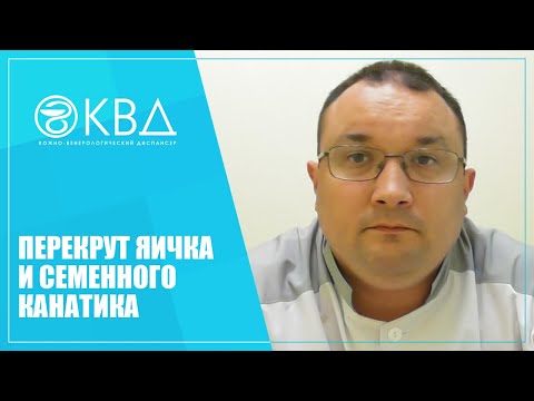 Видео: 1298  Перекрут яичка и семенного канатика