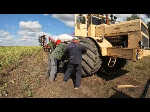 Видео: Трактор Кировец. Посев озимой пшеницы 2022.