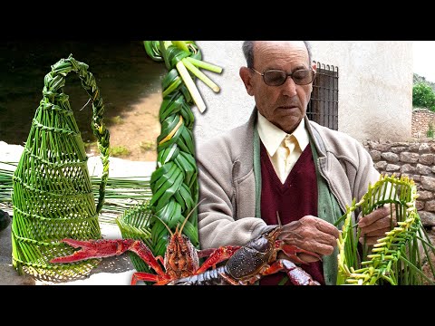 Видео: Ловушки для крабов в реке. Ручное плетение только тростями для семейного потребления.