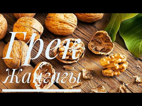Видео: Грек жаңғағының пайдасы мен зияны.