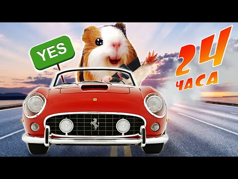 Видео: 24 ЧАСА В МАШИНЕ ЧЕЛЛЕНДЖ - Кузя и Свинка Бузя Челлендж