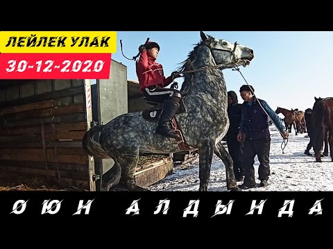 Видео: Бүгүнкү Лейлек Улак/ Оюн алдынан. Буйруса: толук видео, кийинки чыгарылышта.