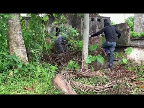 Видео: Красивое преображение Заросший газон Уборка заброшенного дома несет смысл