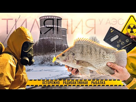 Видео: Надо видеть...КРУПНЯК ОЗЕРА АЭС...НЕ ожидали ТАКОЙ РЫБЫ! Зимняя РЫБАЛКА 2023!