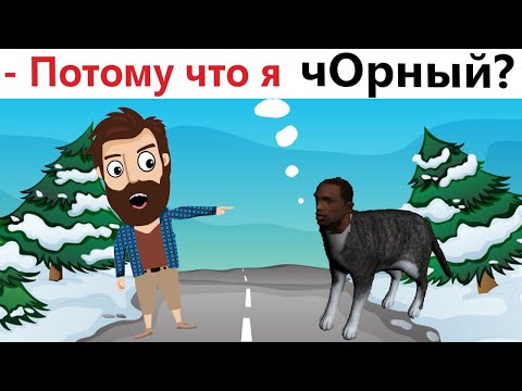 Видео: Приколы! ЧЁРНЫЙ КОТ МНЕ ПЕРЕШЁЛ ДОРОГУ! Смешные видео - Доми шоу!