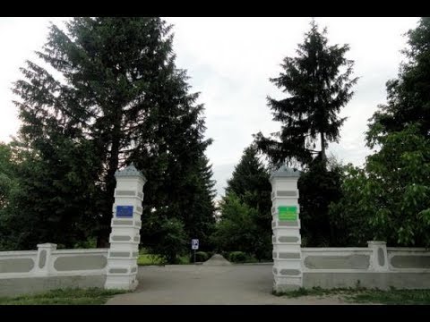 Видео: Северинівка 2018