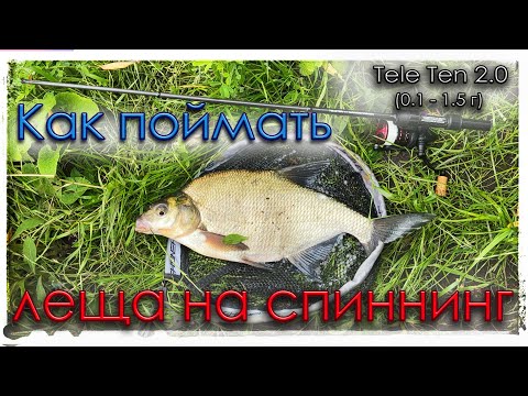 Видео: Как поймать леща на спиннинг. TeleTen 2.0. Мормышинг