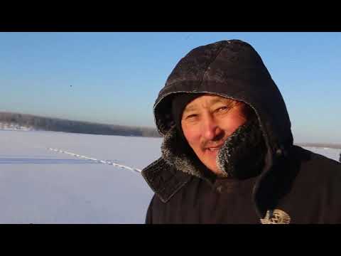 Видео: Хотон политика часть 2