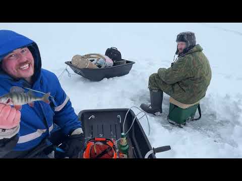 Видео: Будни Карельского рыбака зимой: от рассвета до заката в поисках окуня.