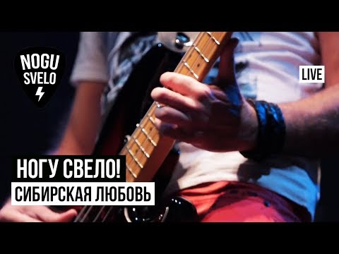 Видео: Ногу Свело! - Сибирская любовь (Live)