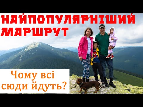 Видео: Карпати, гора Хом'як. Чому всі йдуть на Хом'як? Найлегша гора Карпат