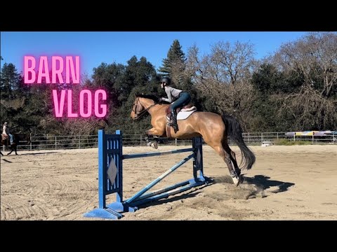 Видео: Видеоблог Barn + Уроки (Я падаю)