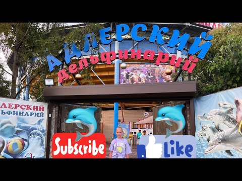 Видео: Обзор на Адлерский дельфинарий, дельфинарий в Адлере, куда сходить в Адлере, дельфины Адлер