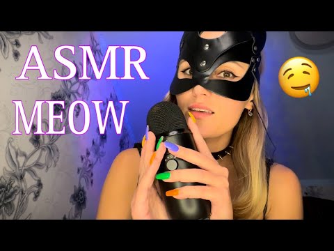 Видео: АСМР МУРЧАНИЕ 😻 Ты СЛАДКО Уснешь через 20 минут | ASMR PURR Meow 🤤