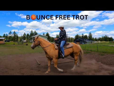 Видео: РЫСЬ: КАК СИДЕТЬ, НЕ ПОДПРЫГИВАЯ!!