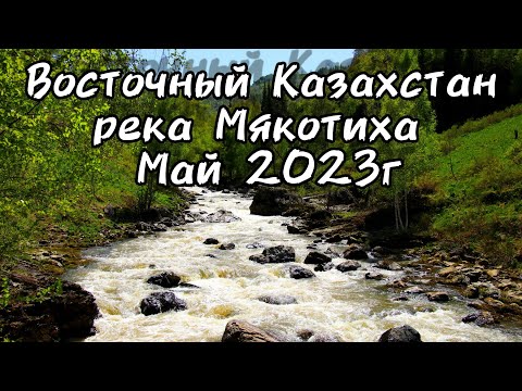 Видео: Сплав по реке Мякотиха 25-28 мая 2023 г.