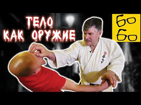 Видео: Укусы в драке, удары по глазам, набивка паха и горла — суровое годзю-рю и укрепление тела с Узуном
