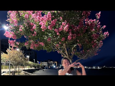 Видео: Влог 3 ! 🇧🇬 Болгария 🫶