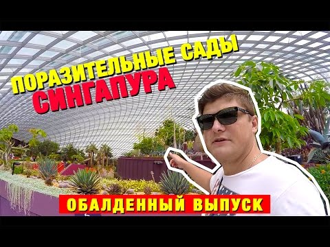 Видео: СИНГАПУР. ПОРАЗИТЕЛЬНЫЕ САДЫ! GARDENS by THE BAY