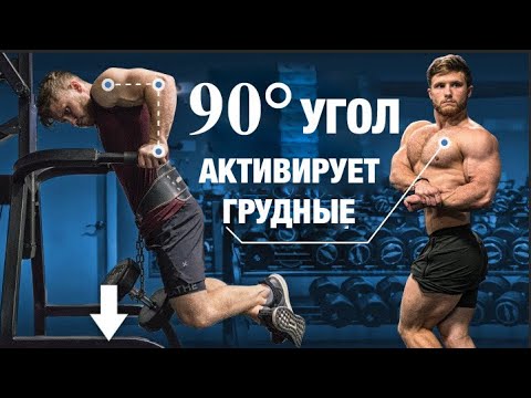 Видео: Как правильно ОТЖИМАТЬСЯ НА БРУСЬЯХ? (ДЕЛАЙТЕ ТОЛЬКО ТАК!) | Джефф Ниппард
