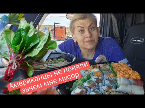 Видео: Весь магазин был от меня в шоке. Русская хочет купить мусор.