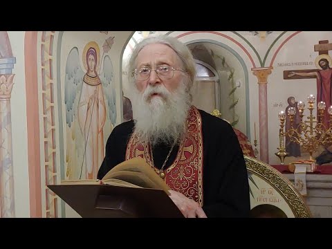 Видео: Не заходи, брат, в тину брения и удаляйся от людей, ходящих бесстрашно. 03.02.2024 г.