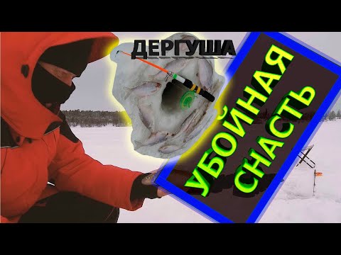 Видео: ловля на дергушу  на течении РЫБАЛКА на ПОКАТОК белоглазки густеры сопы река ока