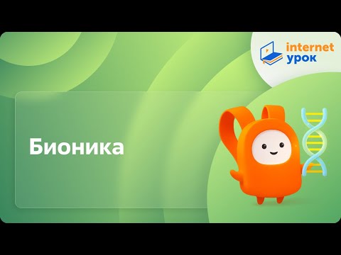 Видео: Бионика. Видеоурок по биологии 11 класс