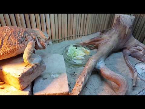 Видео: Экскурсия по нашему дому. Год спустя после первой.