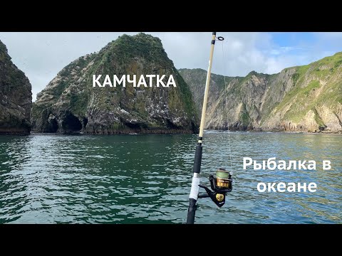 Видео: Рыбалка на КАМЧАТКЕ в открытом ОКЕАНЕ!