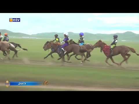 Видео: Наадам 2023 "Даага"